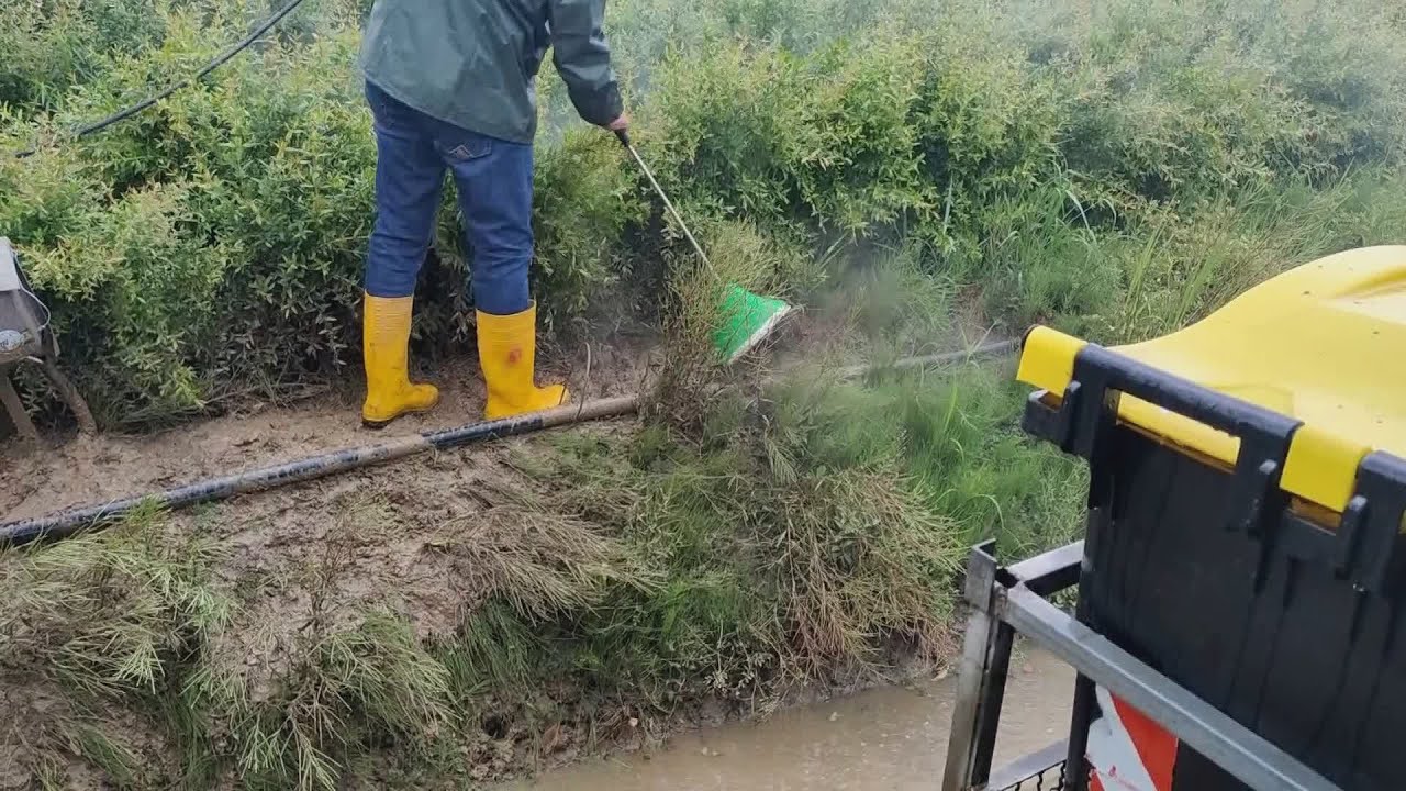 Vivaismo. Diserbo biologico con l'ozono