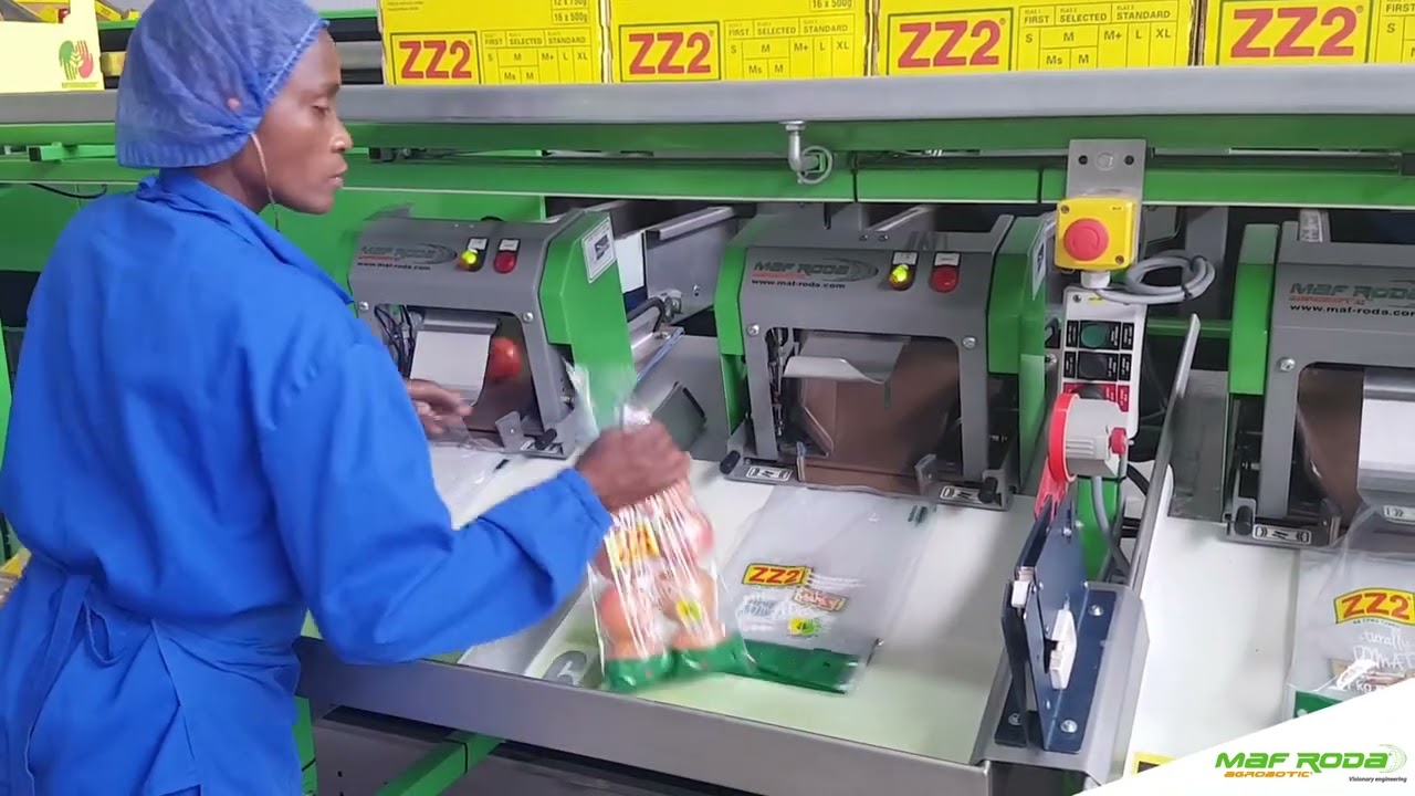 2018 - ZZ2 (SOUTH AFRICA) - Tomatoes baggin Line - Speed bagger