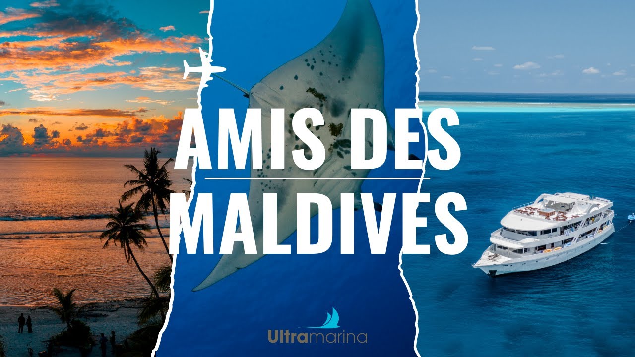 Croisière plongée avec Amis des Maldives
