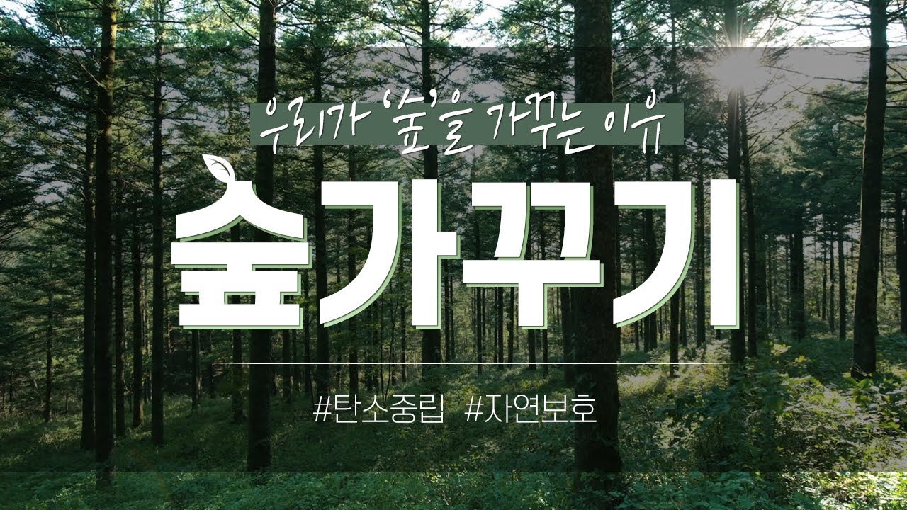 [#탄소중립] 숲가꾸기의 중요성! 우리가 숲을 가꾸는 이유