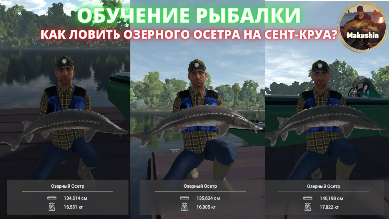 Fishing Planet | Гайд: Как поймать озерного осетра на озере Сент-Круа? БЫСТРЫЙ И ЛЁГКИЙ СПОСОБ ЛОВЛИ