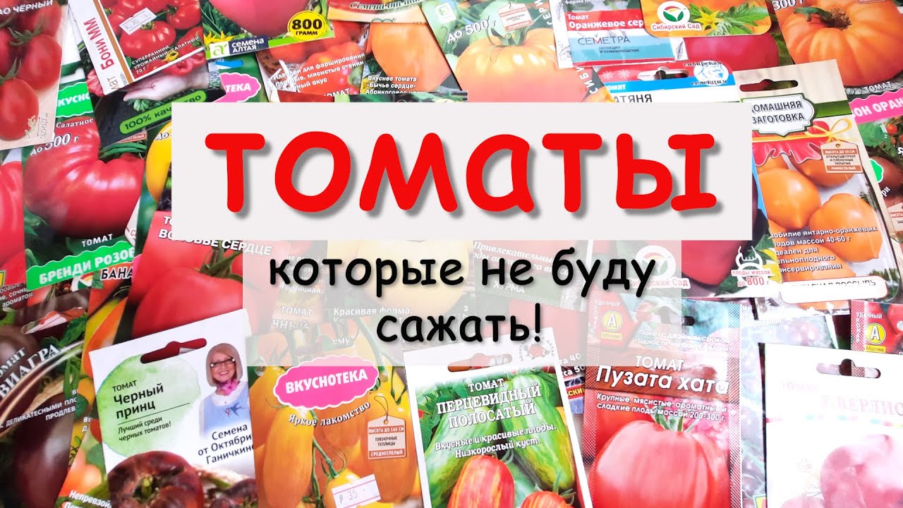 🍅Какие ТОМАТЫ я больше НЕ БУДУ САЖАТЬ!
