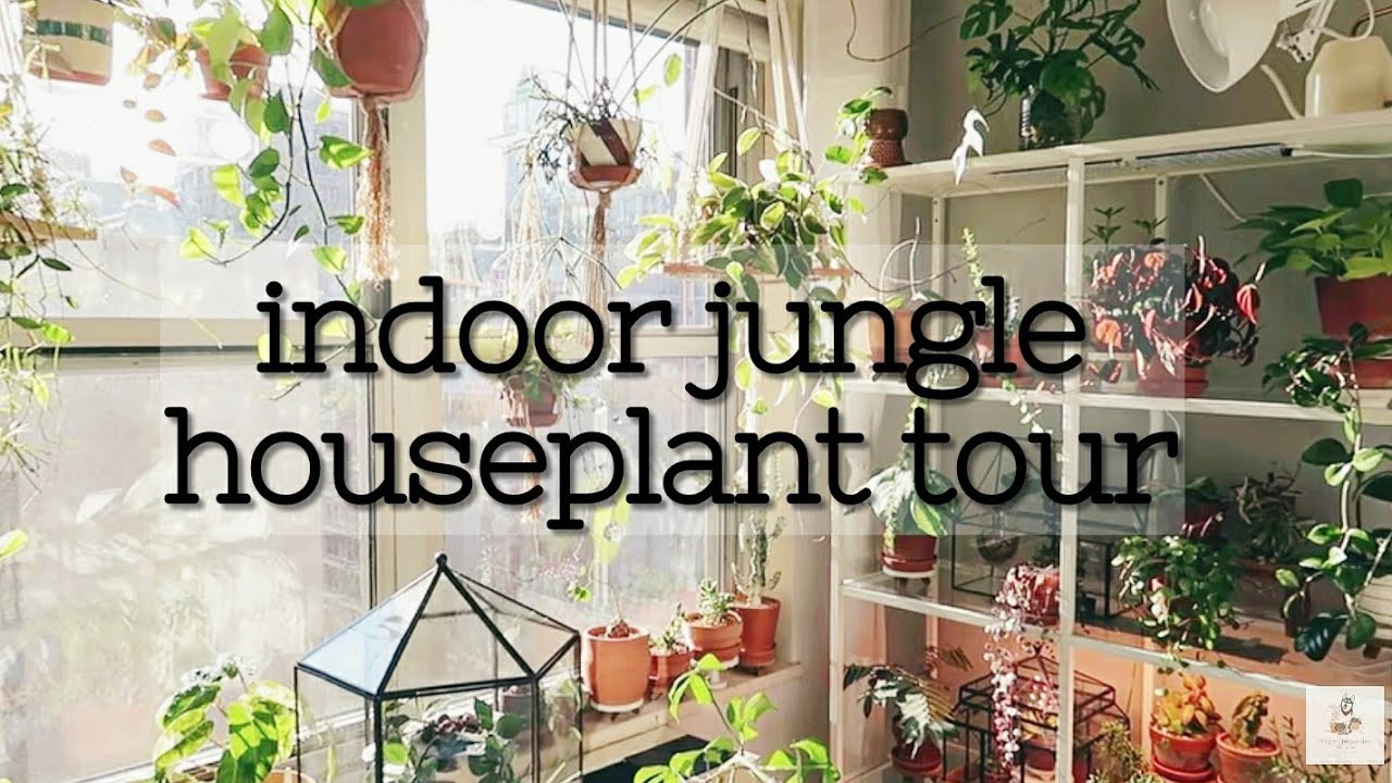 NYC Apartment Houseplant Tour - Part 1