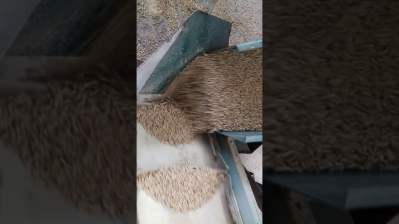 معمل مستعمل تعديل وتشغيل بيلييت ابقار ودواجن