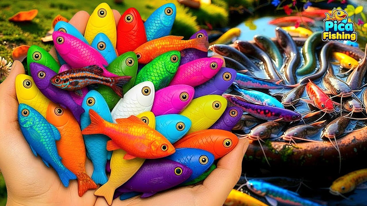 Amazing Catch! Beautiful Fish Hidden Inside Colorful Eggs 🥚🐟