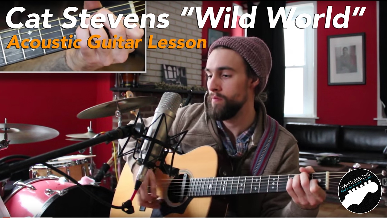 Acoustic Guitar Lesson - 