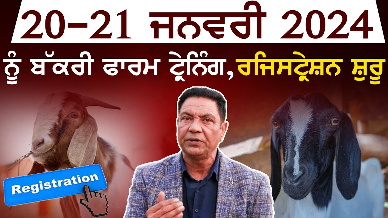 Kang Goat Farm -20-21 ਜਨਵਰੀ 2024 ਨੂੰ ਬੱਕਰੀ ਫਾਰਮ ਟ੍ਰੇਨਿੰਗ, ਰਜਿਸਟ੍ਰੇਸ਼ਨ ਸ਼ੁਰੂ |  Bakri Farm |