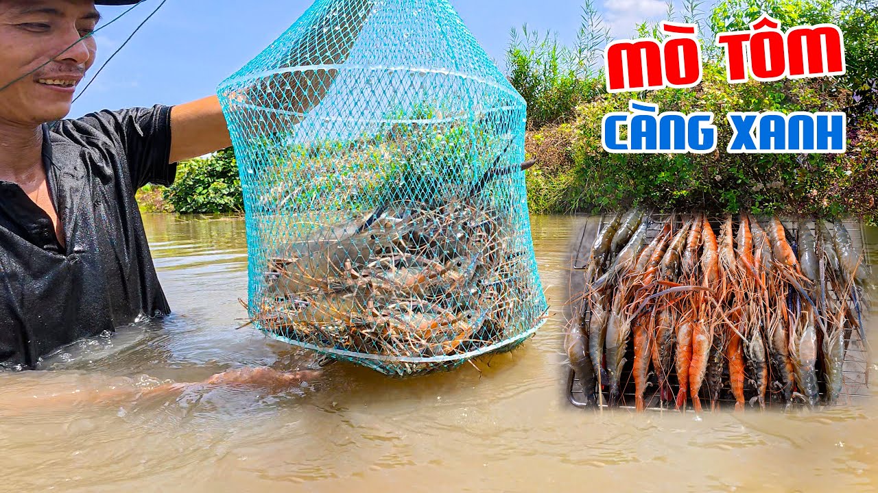 Tôm Càng Xanh Tái Chanh, Nướng Than - Lai Rai Tửu Đế Xứ Cà Mau