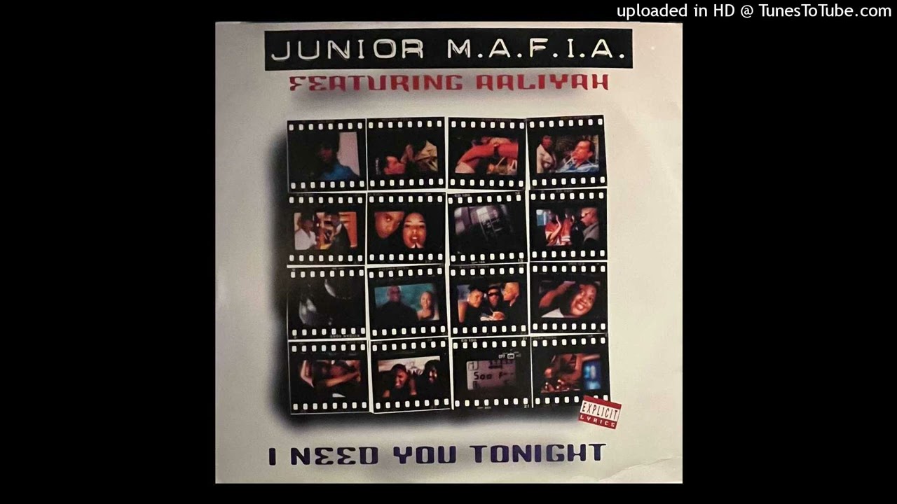 Junior M.A.F.I.A. Feat. Aaliyah - I Need You Tonight (HQ Instrumental)