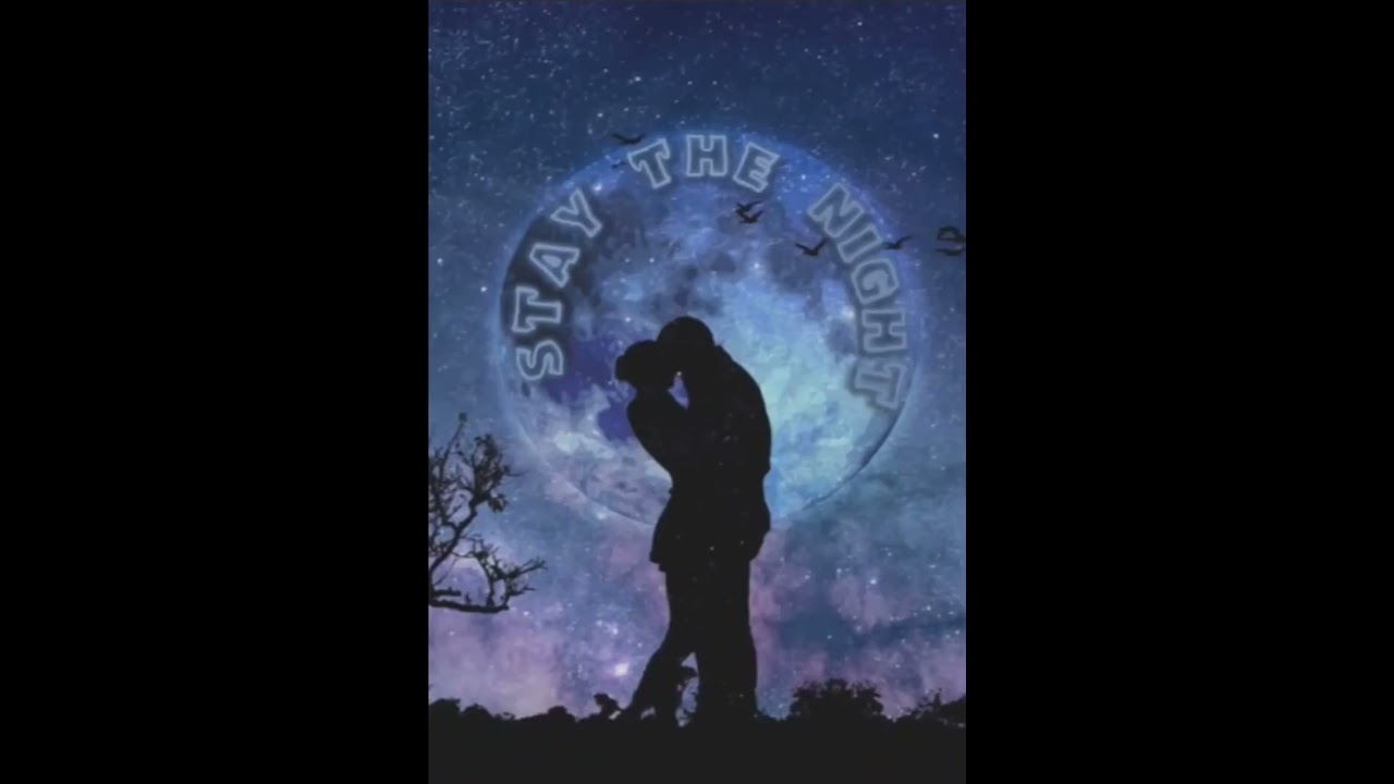 Stay The Night
