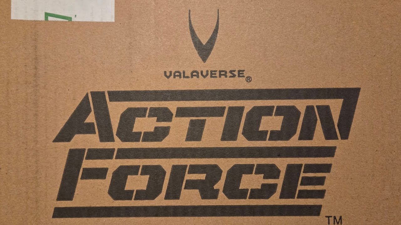 Valaverse Mystery Vanguard Mail Call Unboxing 🤯😢 emojis will make sense if ya watch 