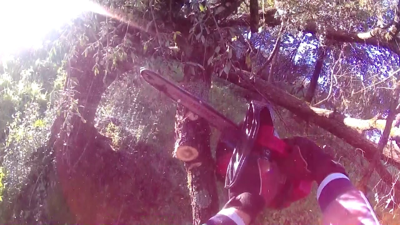 [LEGNA 2019] JONSERED 2125 - POV CAM