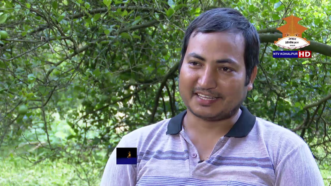 कागती खेती गरेर कति हुन्छ कमाइ ? के के गर्दा फल्छ सुन कागती ? Jhaggu prasha oli झग्गु वलिuddhyam