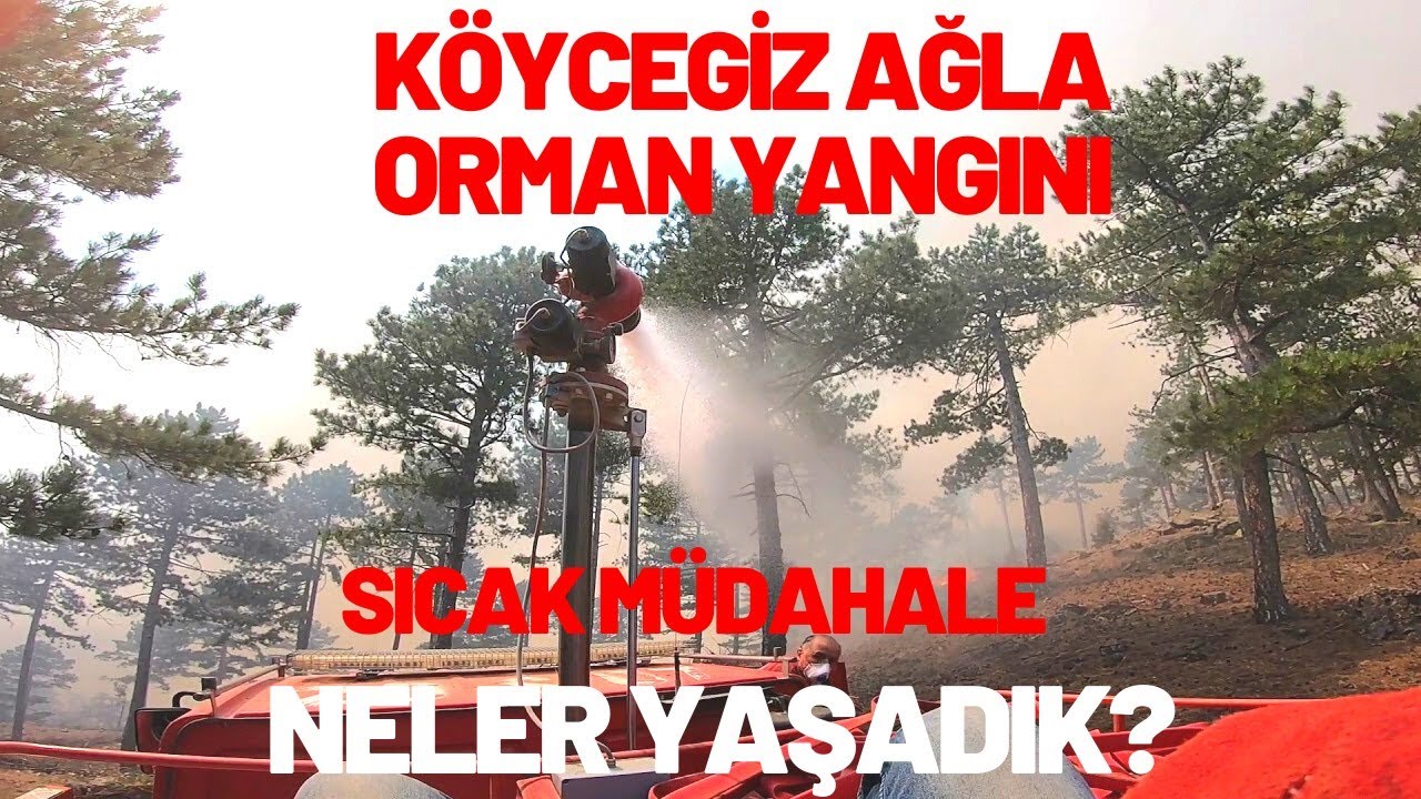 YANGININ İÇİNDEN, KÖYCEĞİZ AĞLA ORMAN YANGINI :(  SICAK MÜDAHALE NELER YAŞADIK
