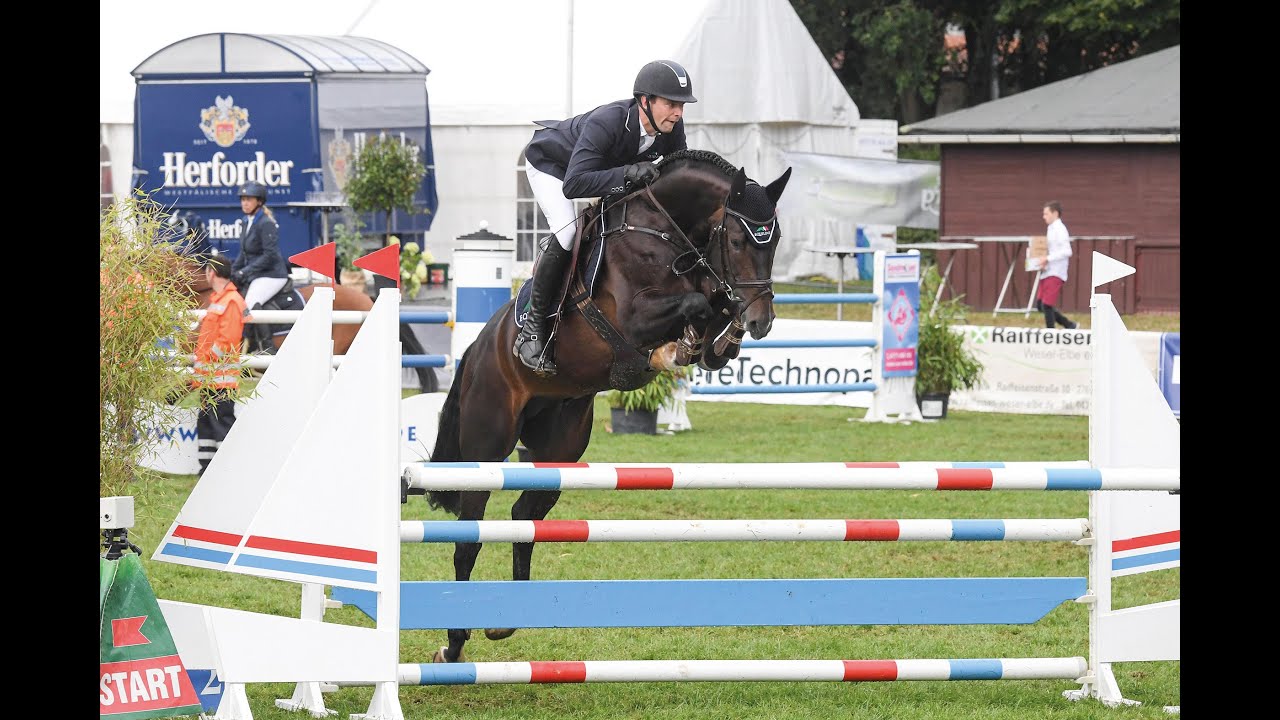 Stakkato's Golden - Hengstkollektion Schockemöhle 2021 DEU