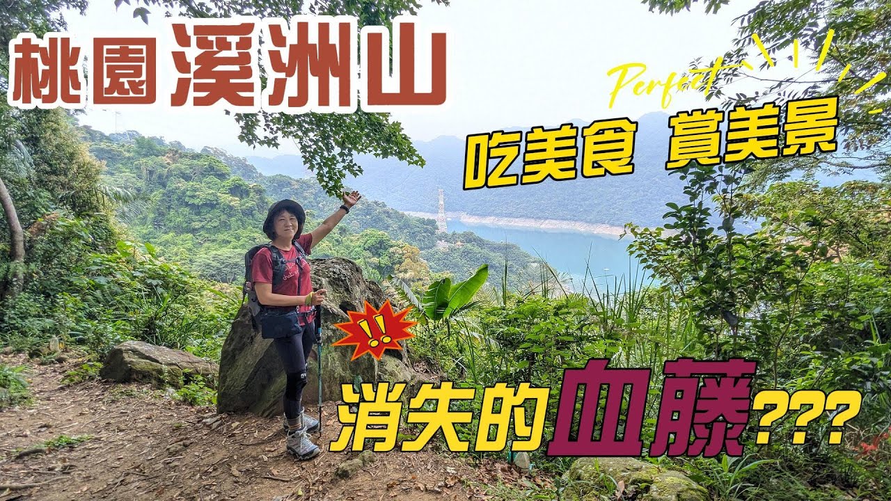 四季皆宜桃園溪洲山，去年血藤大爆發，今年卻消失的無影無踪，賞美景，吃美食，欣賞石門水庫風光、適合親子同遊的步道。