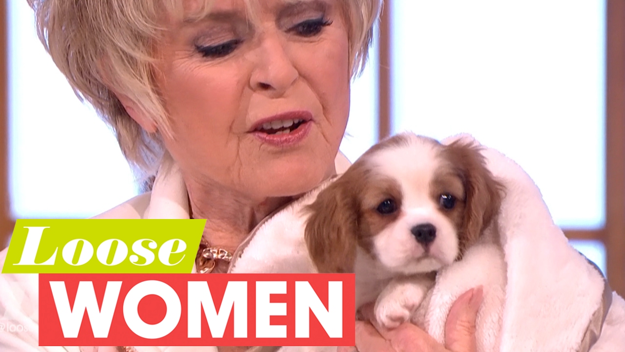 Gloria Introduces the Adorable New Addition to Her Family | Loose Women