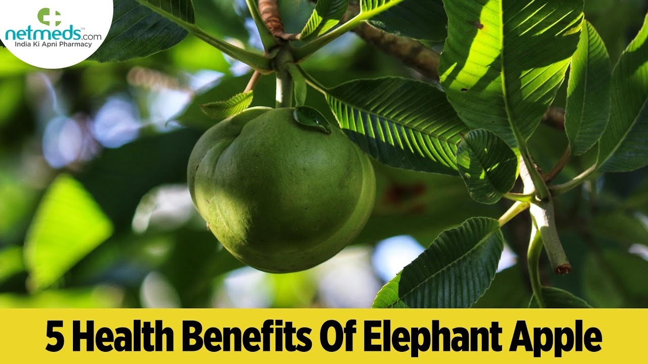 5 Surprising Health Benefits Of Chalta/Elephant Apple
