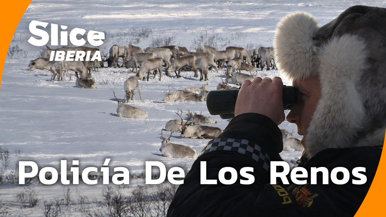 La Policía de los Renos en la Laponia de Noruega | SLICE Iberia | DOCUMENTAL COMPLETO