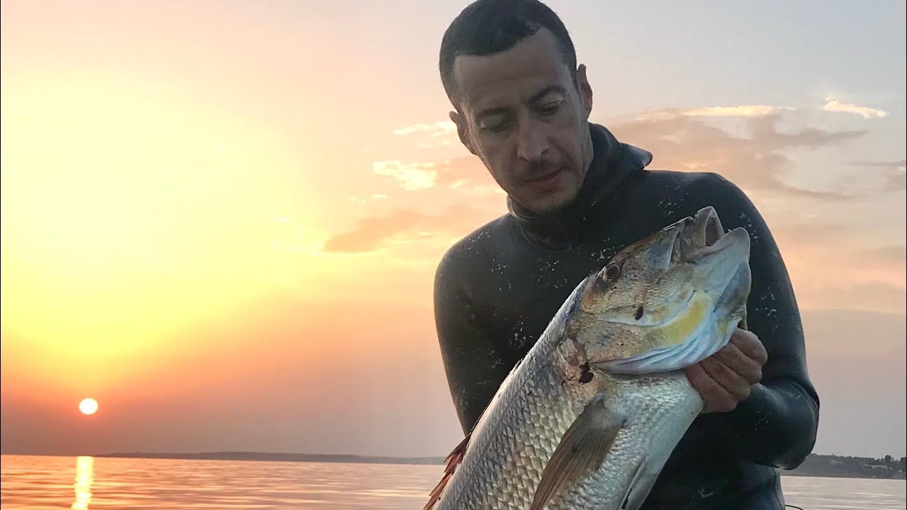 Dentex Spearfishing ,unshared moments from2016 to 2021 ,pure dentex shots 2to➡️ 9,2kg @spearfishing