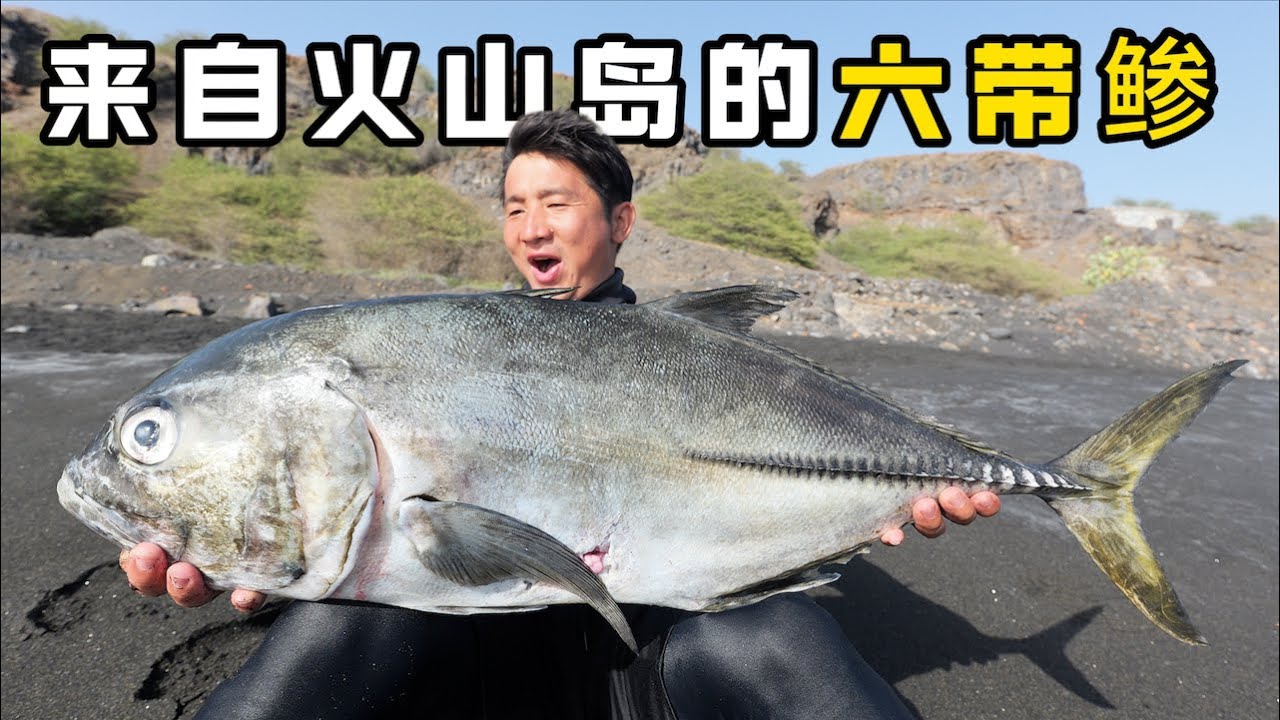 《佛得角》第二集：这火山岛的海货资源无敌好，大龙虾抓到手软不说，还让我解锁了米级的新鱼种，做成鱼丸后根本不够吃！   #抓龙虾 #潜水 #火山 #非洲 #大西洋 #犀牛虾 #海鮮 #六带鲹