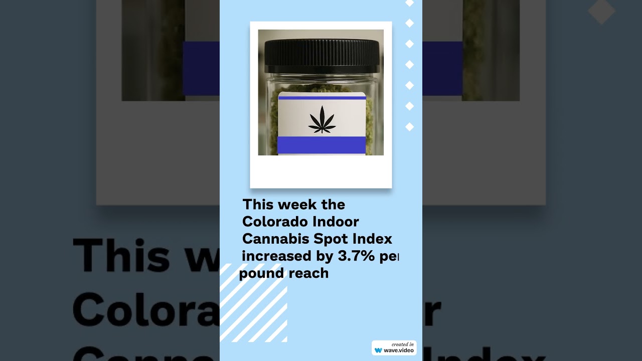 Cannabis Benchmarks US Spot Index Report - June 6, 2025 #cannabisdaily  #stockmarketnews #cannabis