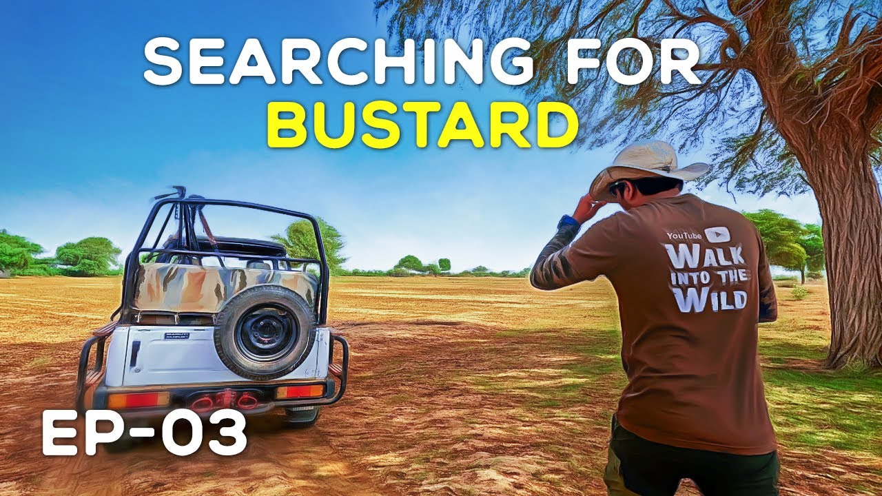 EP 03 - Searching for Great Indian Bustard - 4K Video Hindi | हिन्दी