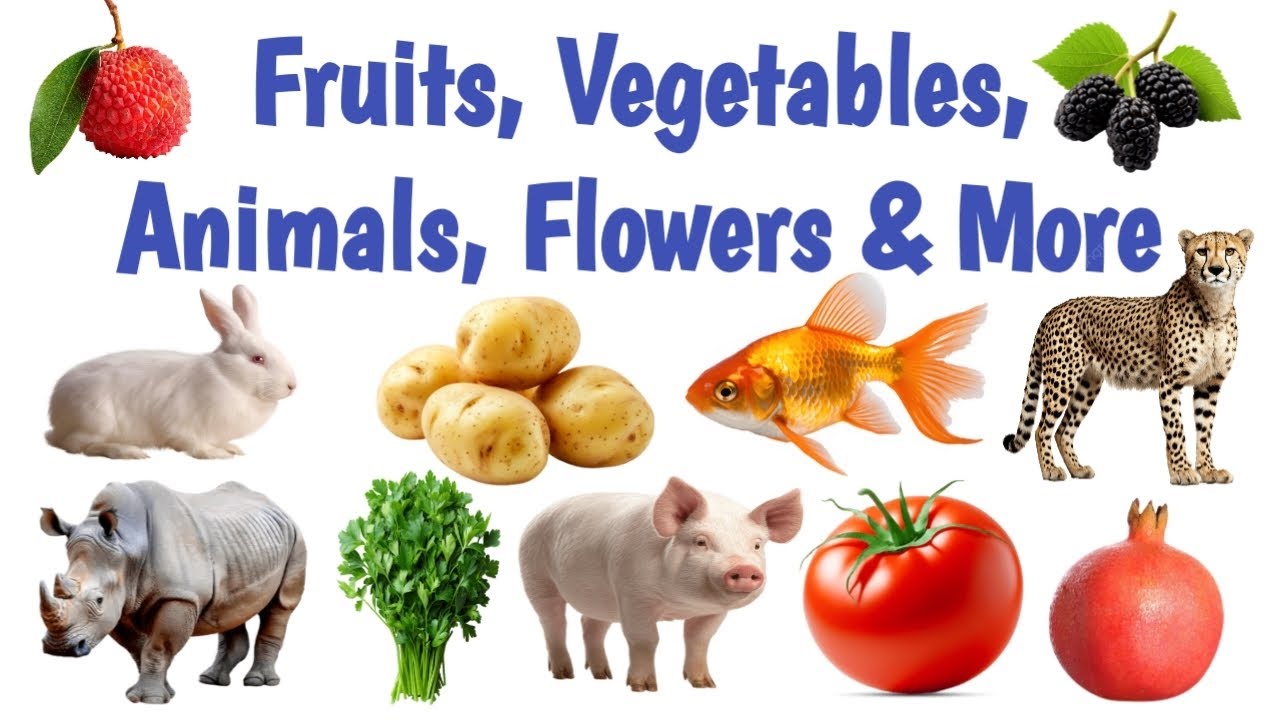 Fun Learning for Kids | Fruits, Vegetables, Animals(Domestic/Wild/Water), Birds & Flowers Names#kids