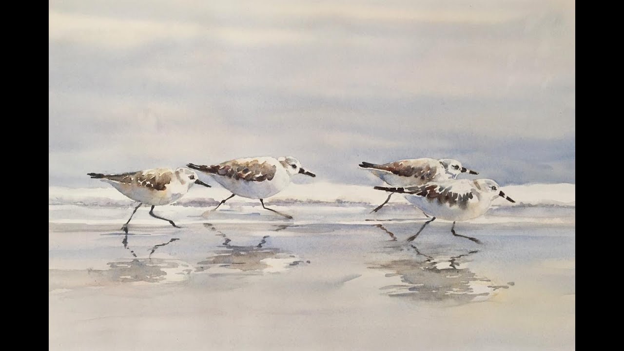 Beach Birds