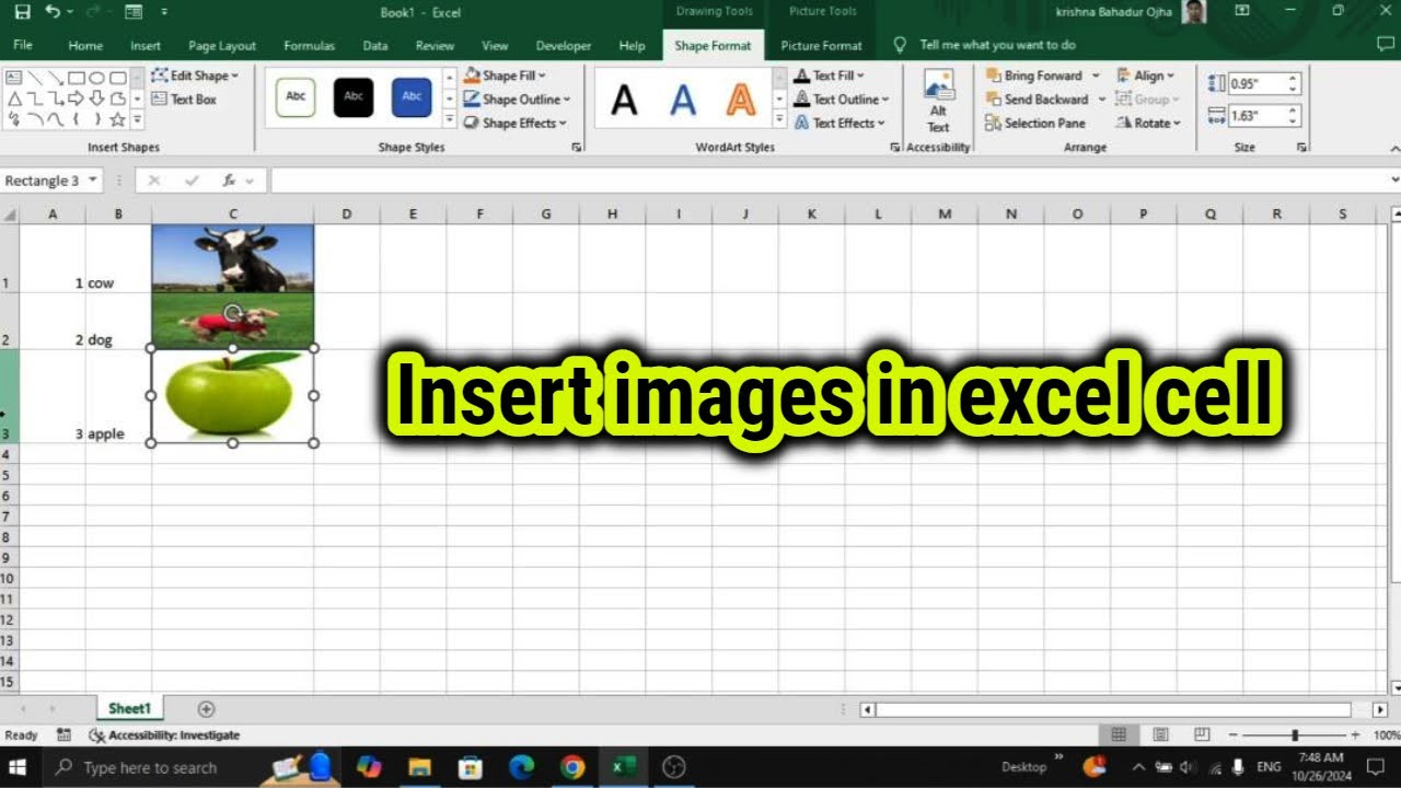 How to Insert images in excel cell