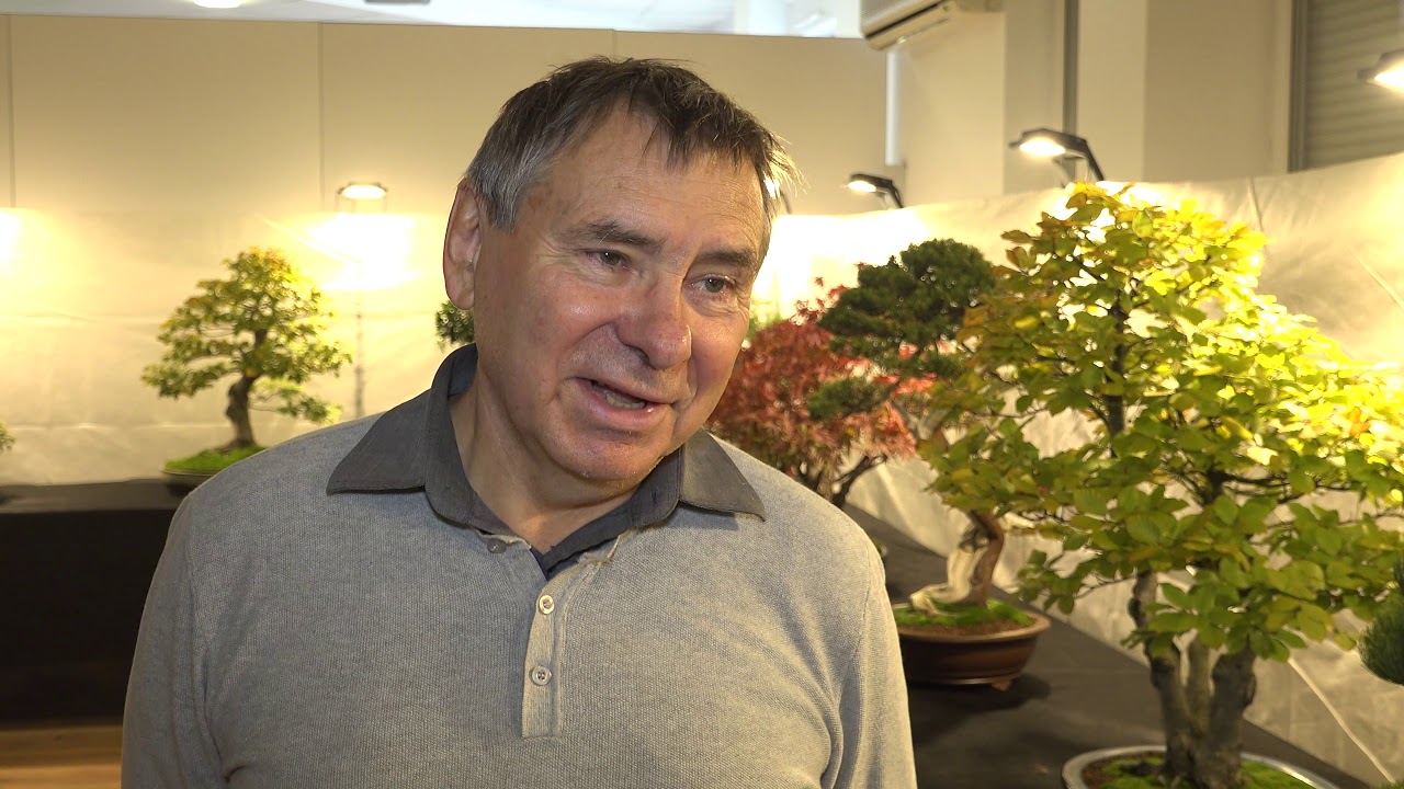 Drzewka bonsai zagościły w Palmiarni Poznańskiej