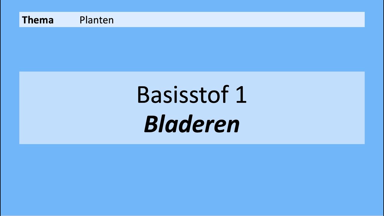 VMBO 4 | Planten | Basisstof 1. Bladeren | 8e editie