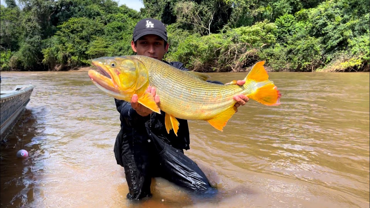O RIO DOS GIGANTES. Pescaria de dourado no rio Miranda.