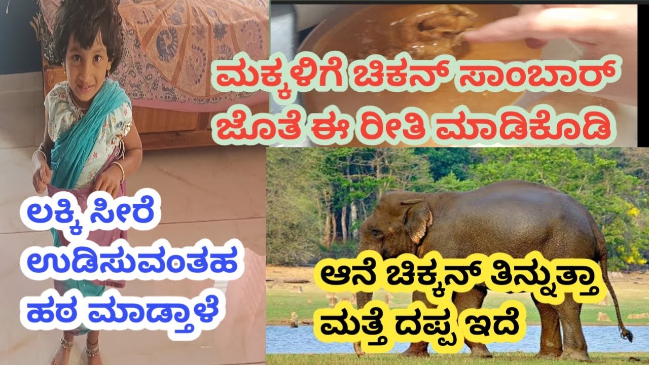 ಮಕ್ಕಳಿಗೆ ಚಿಕ್ಕನ್ ಸಾಂಬಾರ್ ಜೊತೆ ಇದರ ಕಾಂಬಿನೇಷನ್ ಕೊಡಿ, ಆನೆ ಏಕೆ ದಪ್ಪ ಆಗುತ್ತೆ, ಮಕ್ಕಳಸೀರೆ@Sushmakutumba