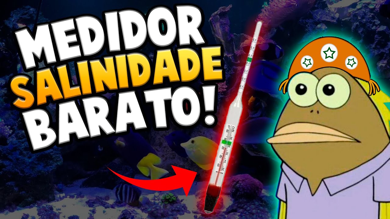 Comprei um Densímetro De Vidro Flutuante (Medidor De Salinidade)