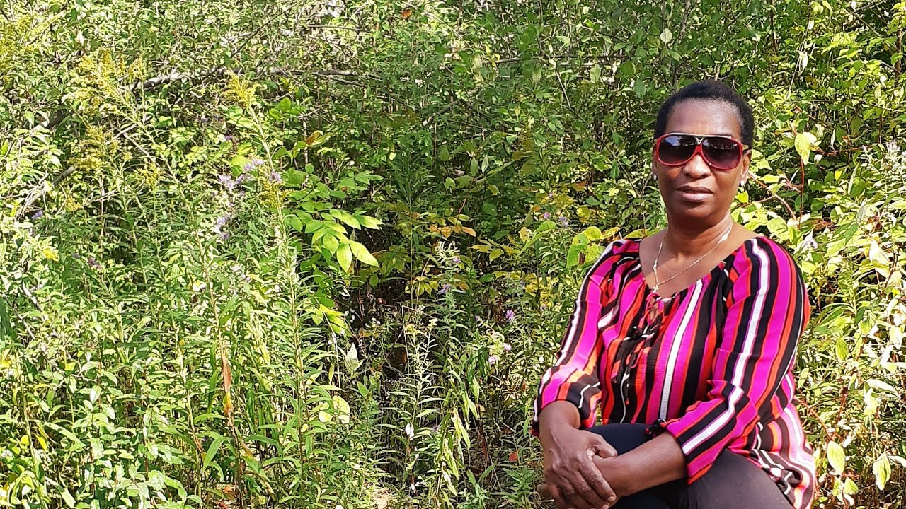 Abram and Lot parted Genesis 13