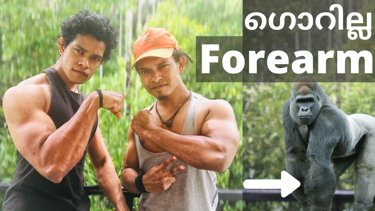 6 മിനിറ്റിൽ കിടിലൻ ഗൊറില്ല FOREARM വർക്ഔട് വീട്ടിൽ തന്നെ|No Equipment|Forearm workout at home