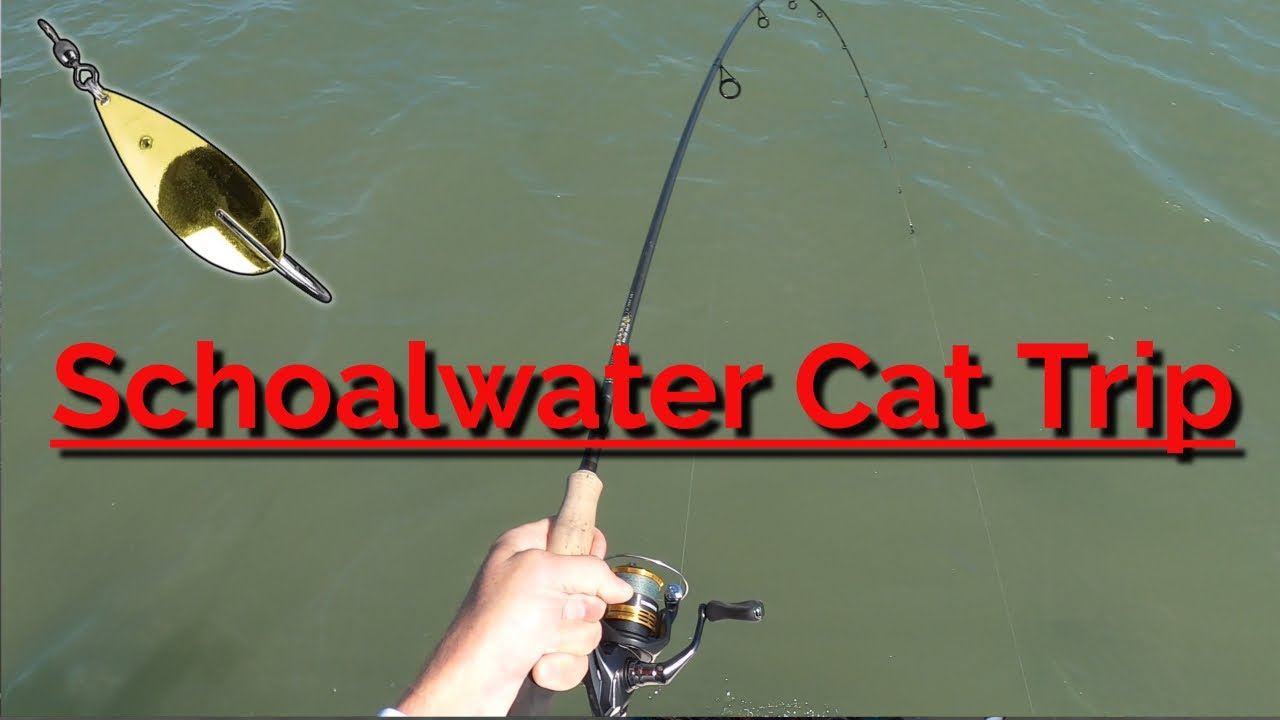 Working The Mud Flats For Redfish Schoalwater Cat 14 5 With 50 HP Honda 4 Stroke