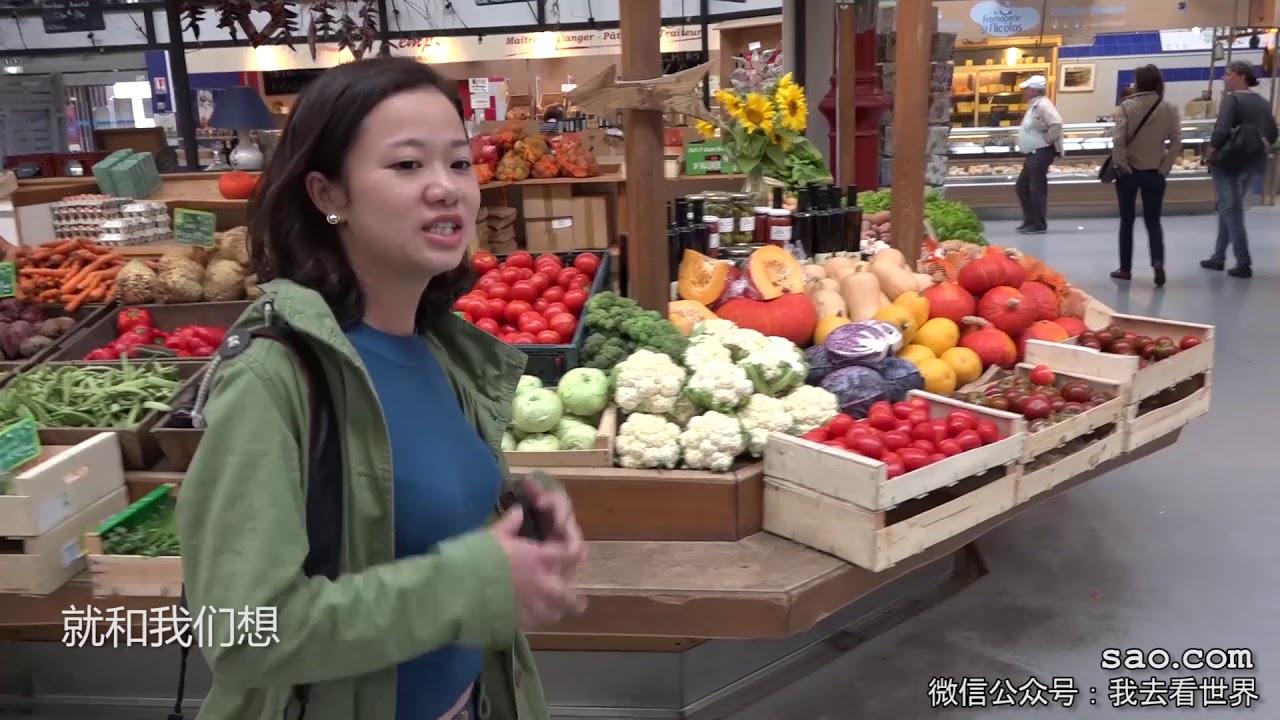 04季70集：看看法国科尔马的真实样子，房价和餐馆还有菜市场【第四季：一万元自驾欧洲】