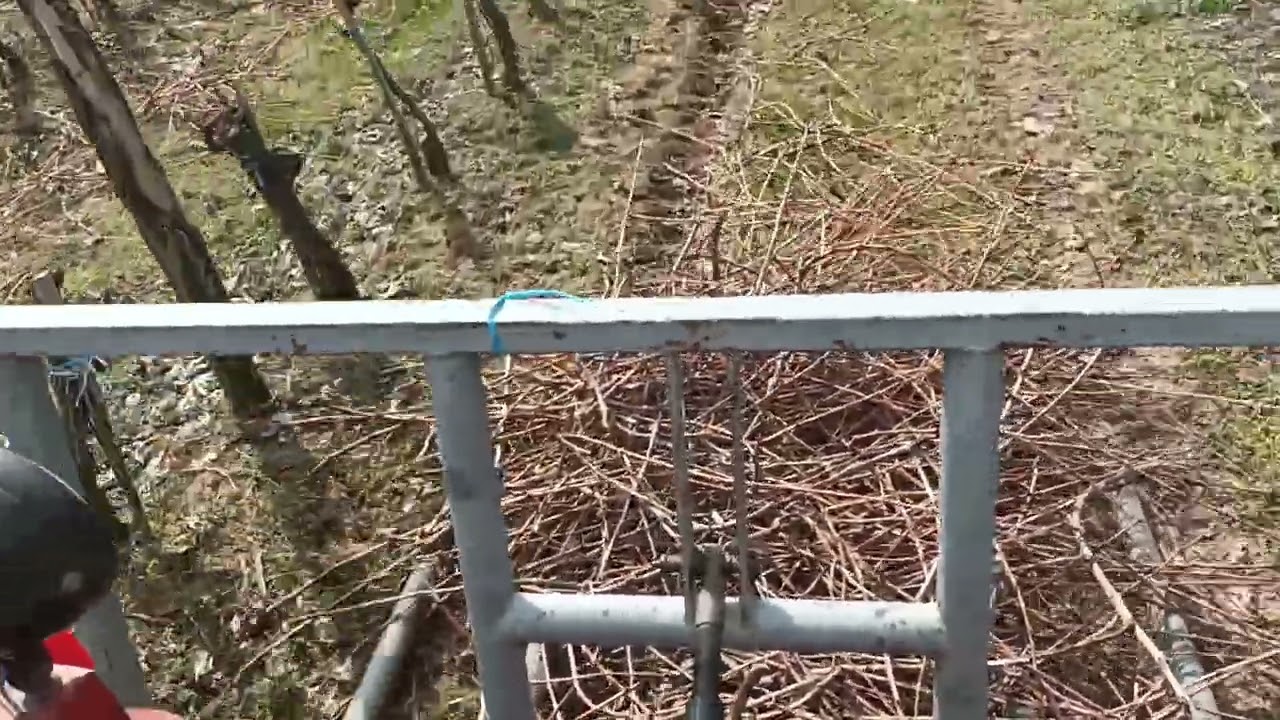 Izbacanje loze fino,brzo 110 m duzina redova