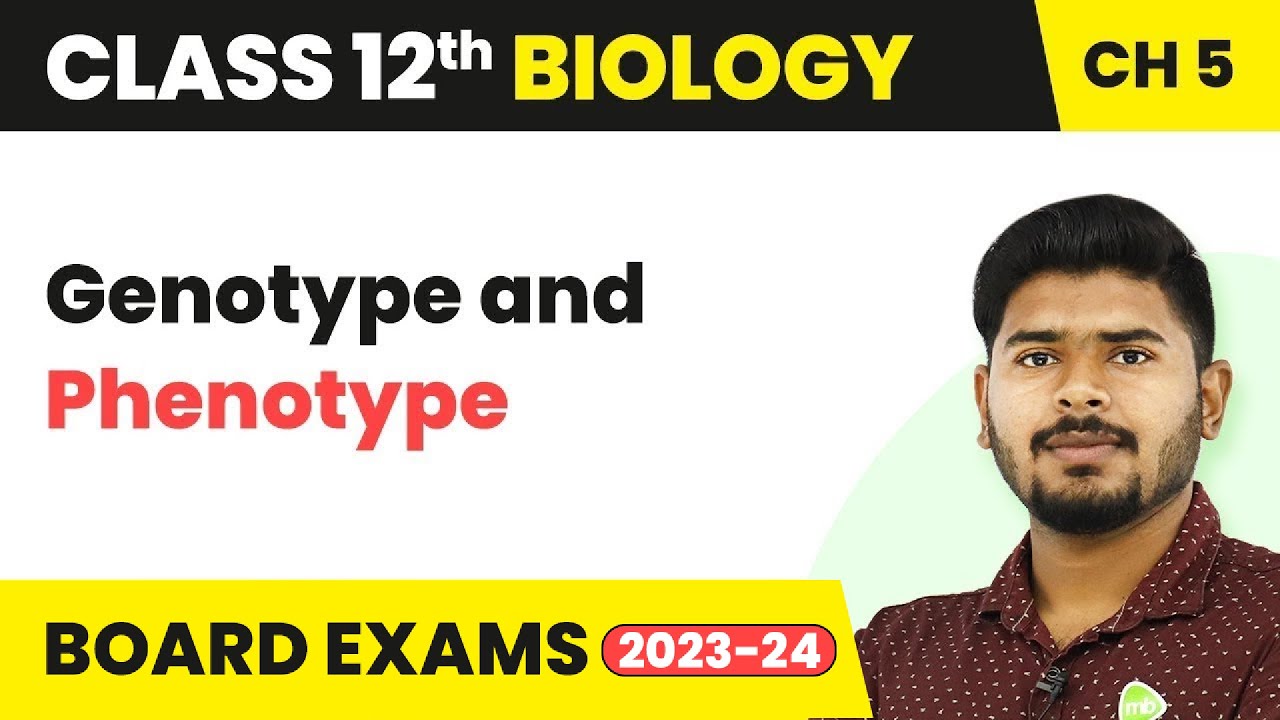 Genotype and Phenotype - Principles of Inheritance and Variation | Class 12 Biology (2022-23)