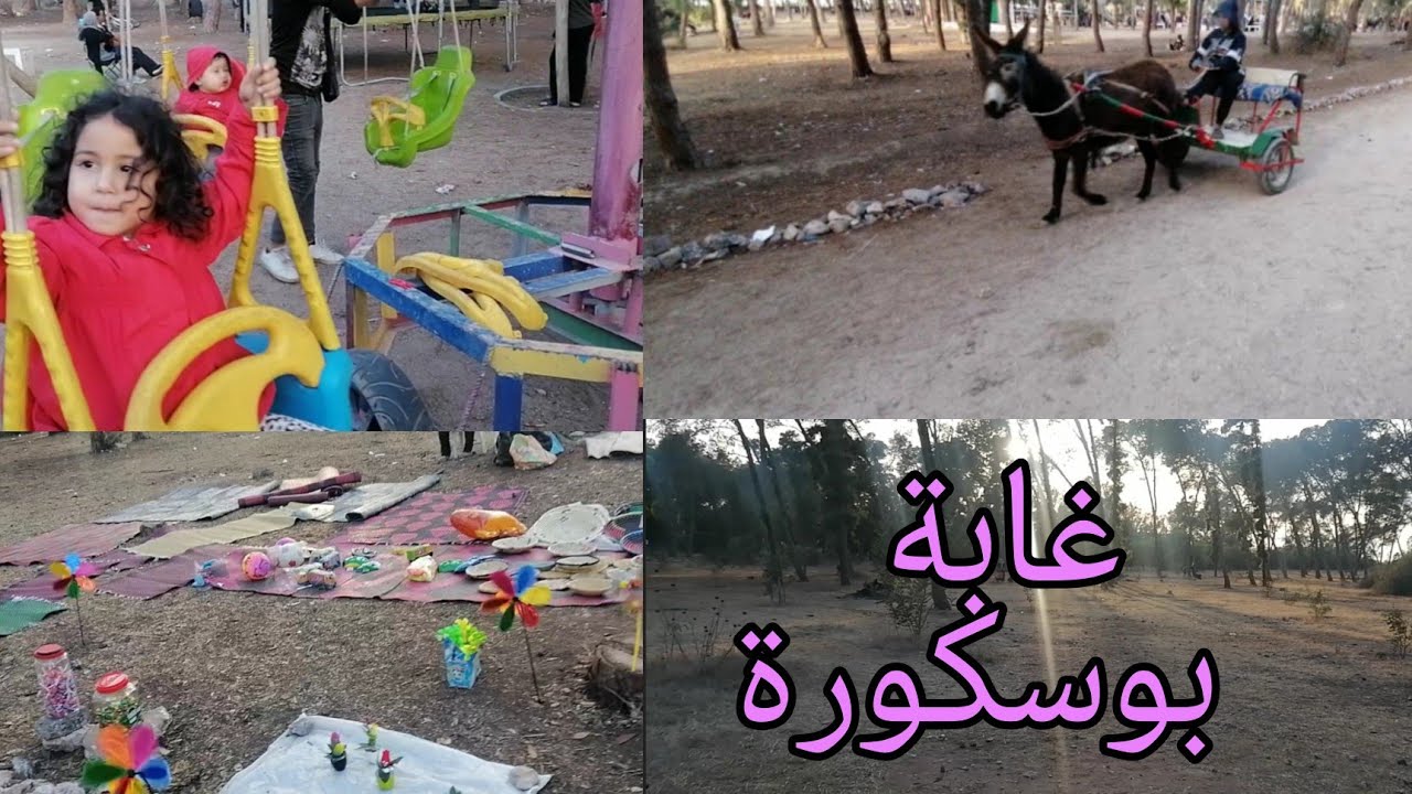 غابة بوسكورة من بعد الشتيوة لي دازت الجو زوين