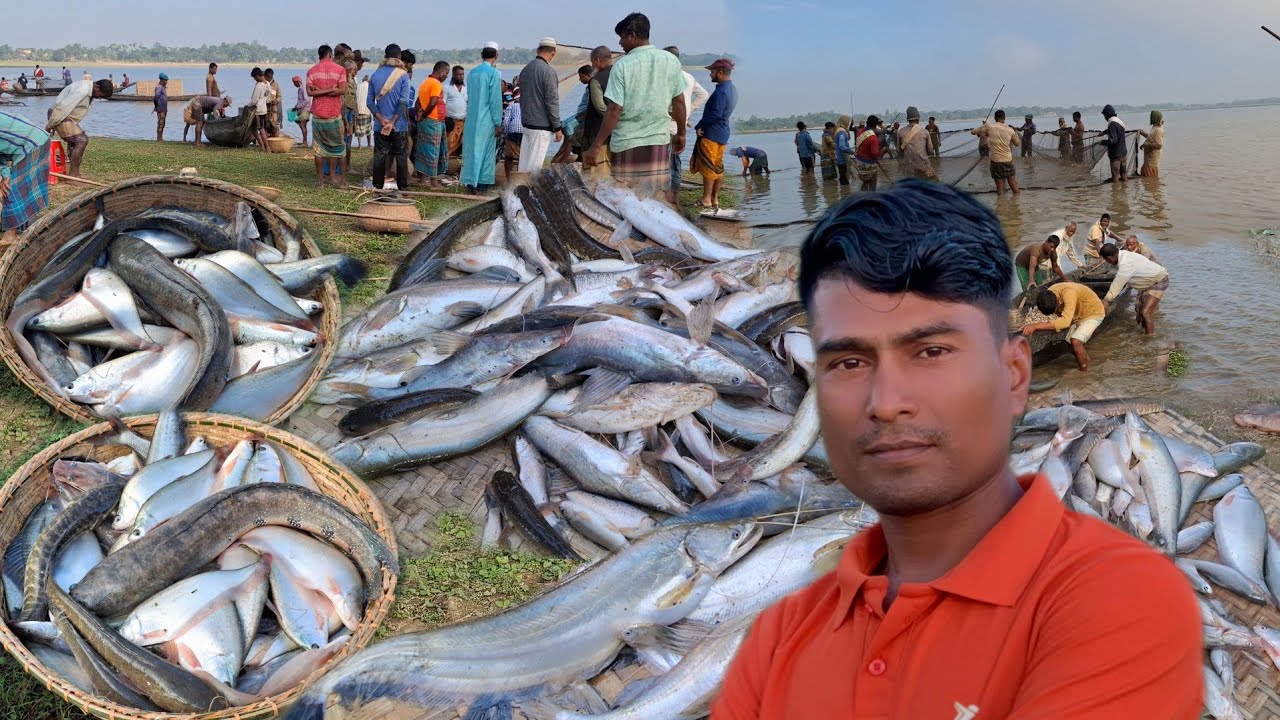 হাকালুকি হাওরের মালাম বিলের বড় বড় মাছ ধরা ও বিক্রয় দেখুন।। #fishing#fishingvideo#hakaluki TV