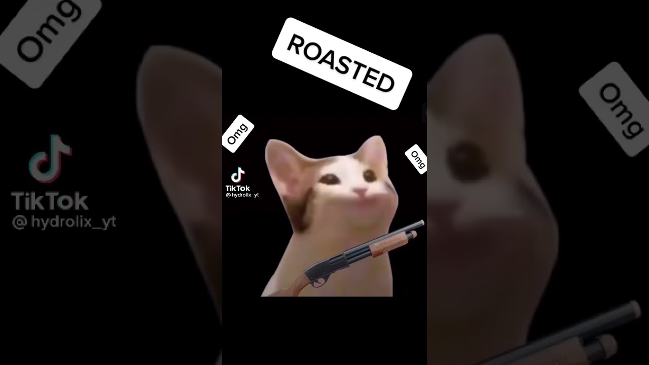 How to roast people