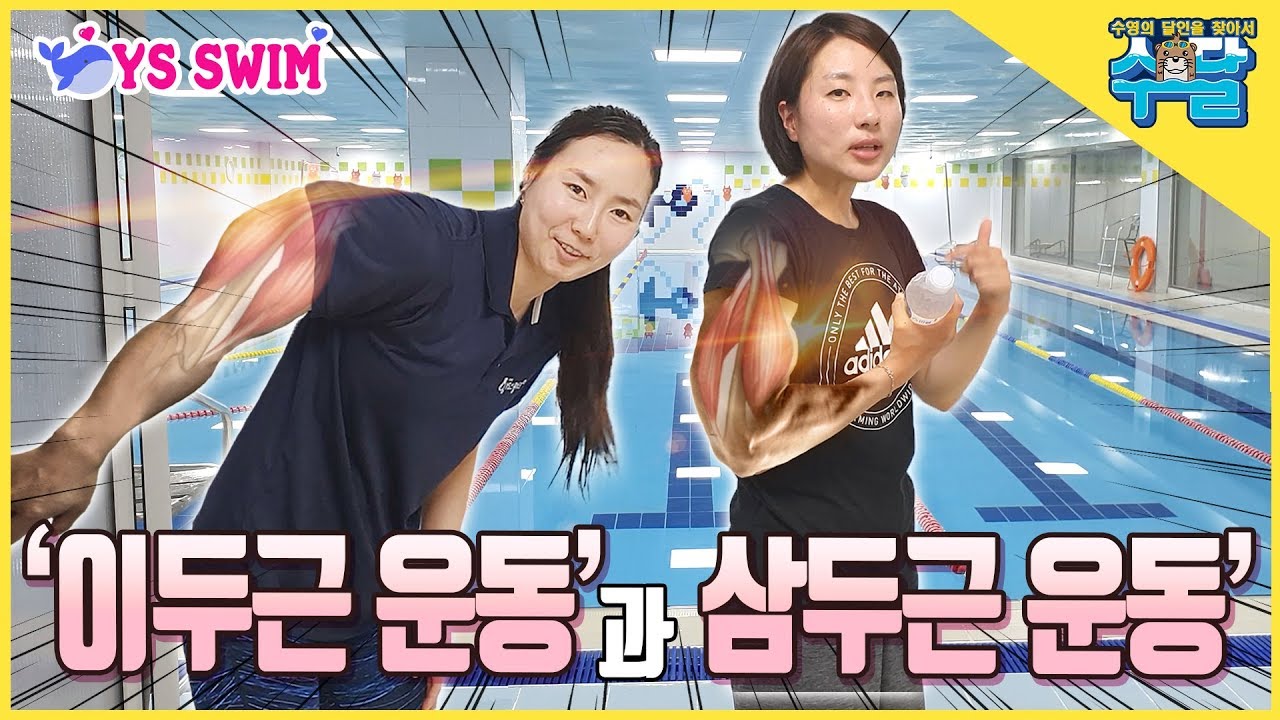 수영에 도움이 되는 근육 강화!! 이두근, 삼두근 운동 ■ 전 수영 국가대표 정은나 -수영의 달인을 찾아서 30화-