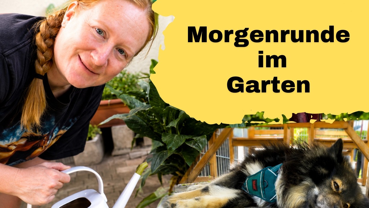 Morgenroutine im Selbstversorgergarten 🌿🐾 | Mit Gandalf, unserem Lapphund #selbstversorgung #garten