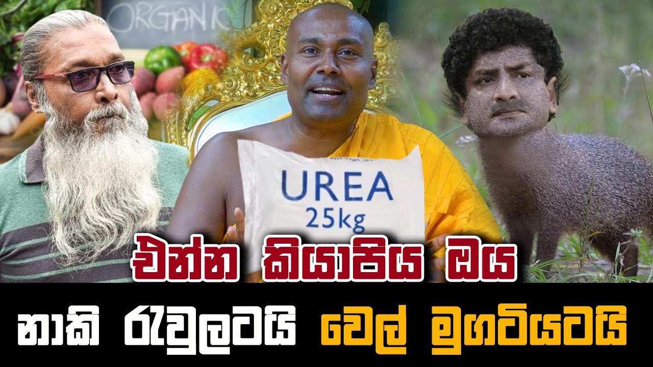 එන්න කියාපිය ඔය නාකි රැවුලටයි වෙල් මුගටියටයි