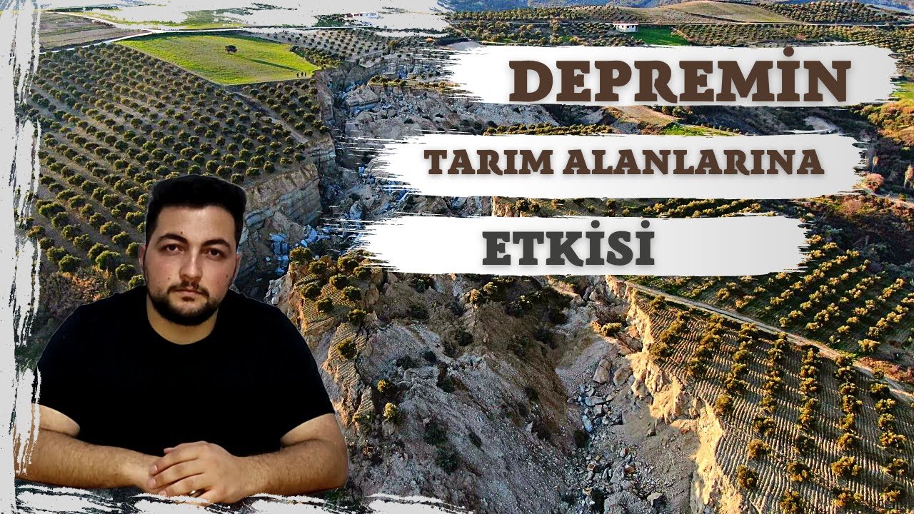 DEPREMİN TARIM ALANLARINA ETKİSİ!!