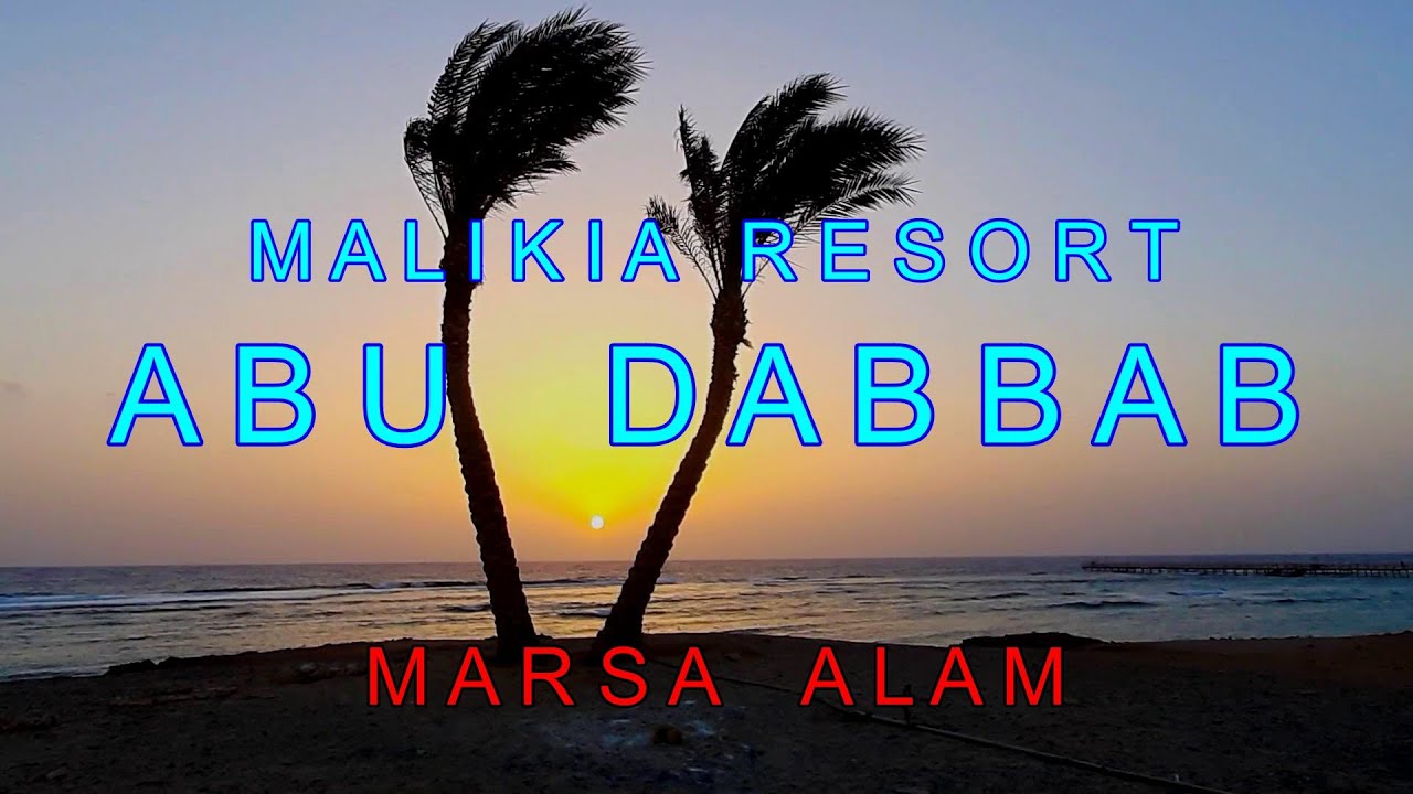 MALIKIA Resort Abu Dabbab 5*.Hotel Reef. Marsa Alam, Egypt