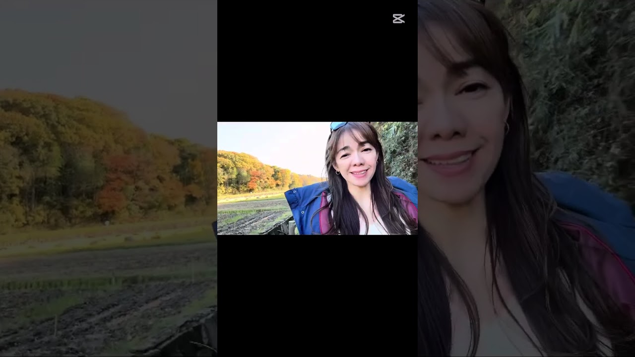 Ilove autumn season in Japan 